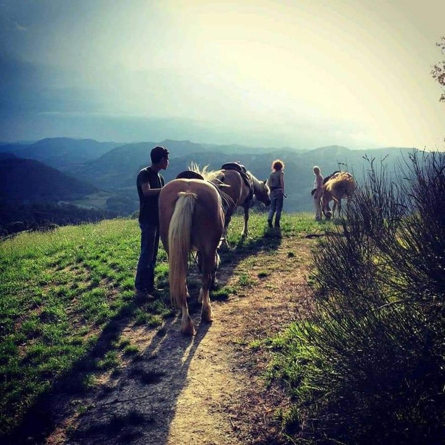 Monte Termine Country House Rioveggio Екстериор снимка