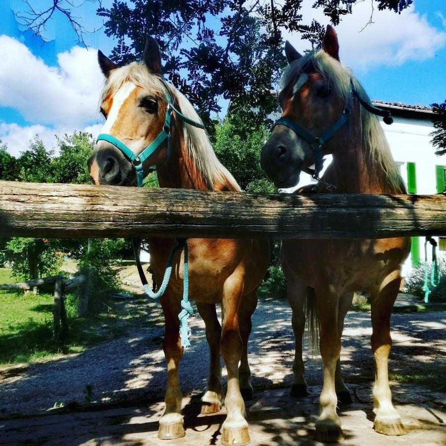 Monte Termine Country House Rioveggio Екстериор снимка