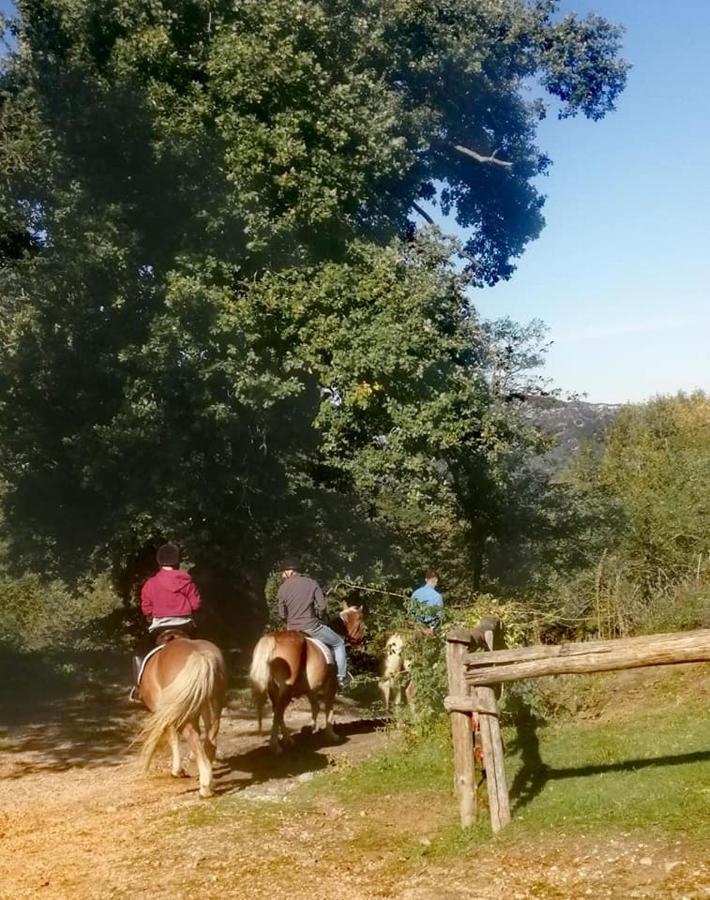 Monte Termine Country House Rioveggio Екстериор снимка