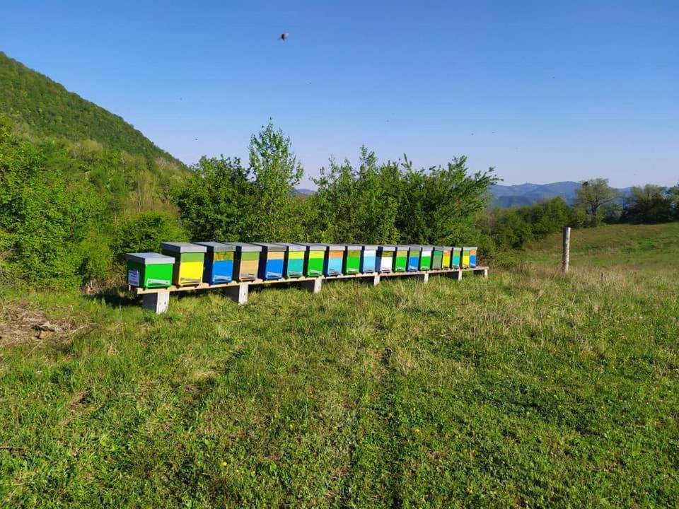 Monte Termine Country House Rioveggio Екстериор снимка