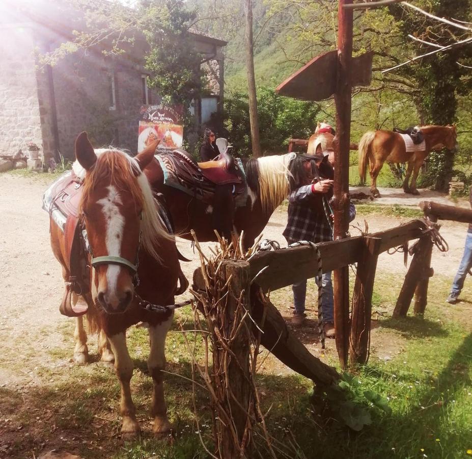 Monte Termine Country House Rioveggio Екстериор снимка