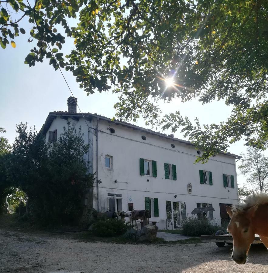 Monte Termine Country House Rioveggio Екстериор снимка